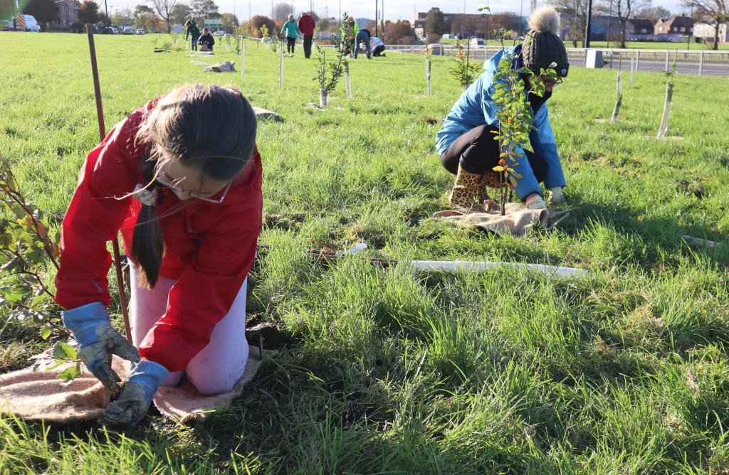 Young girl planting tree
