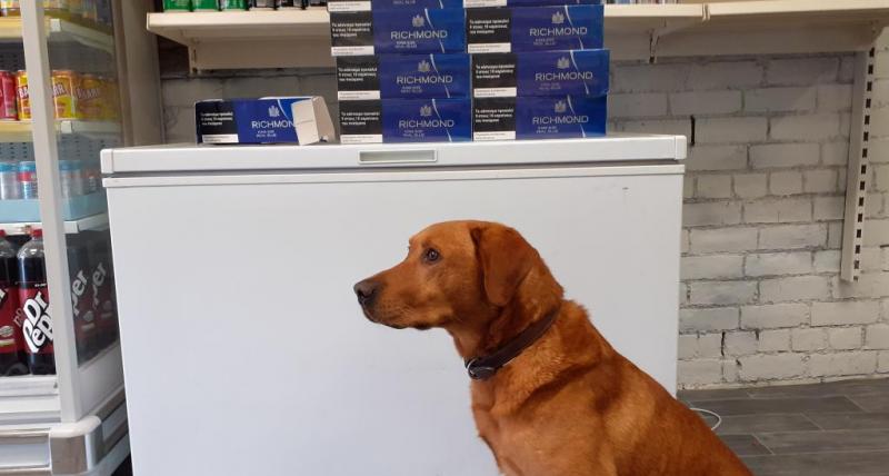 Gang hunt sniffer dog who has found illegal tobacco worth £6m, UK News